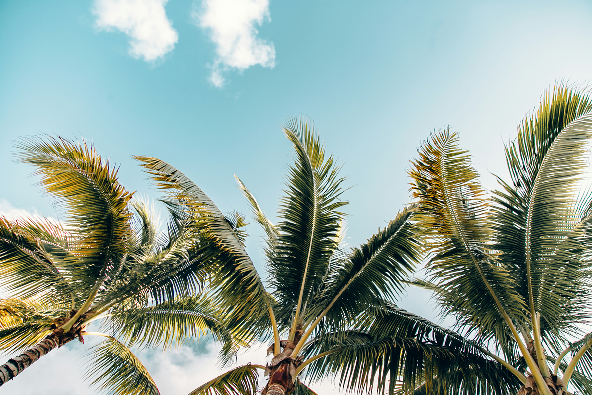  Lorem ipsum dolor sit amet consectetur